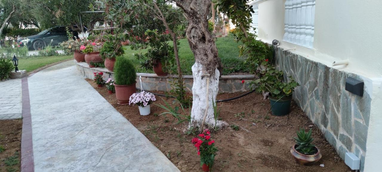 Zante Summer Retreats - Marietta'S Apartment2 Drosia Kypseli Exterior foto