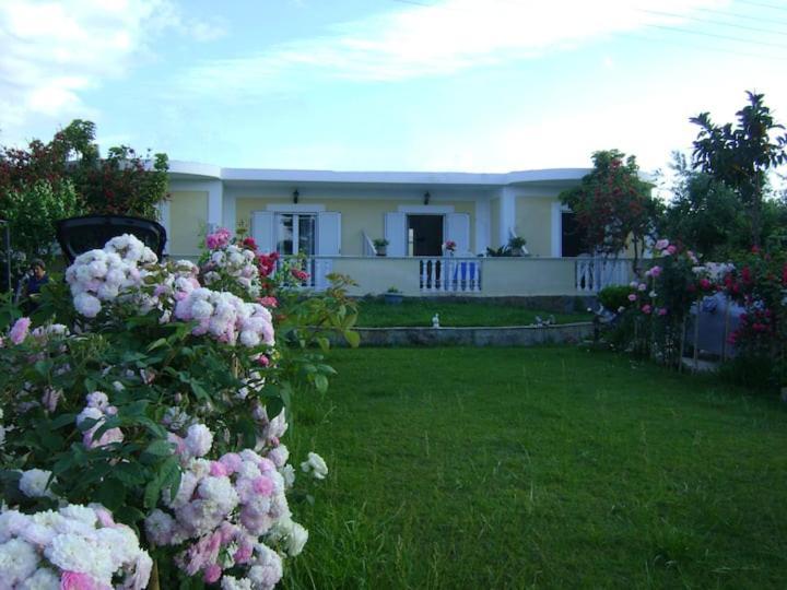 Zante Summer Retreats - Marietta'S Apartment2 Drosia Kypseli Exterior foto
